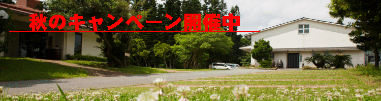 イベント・キャンペーン