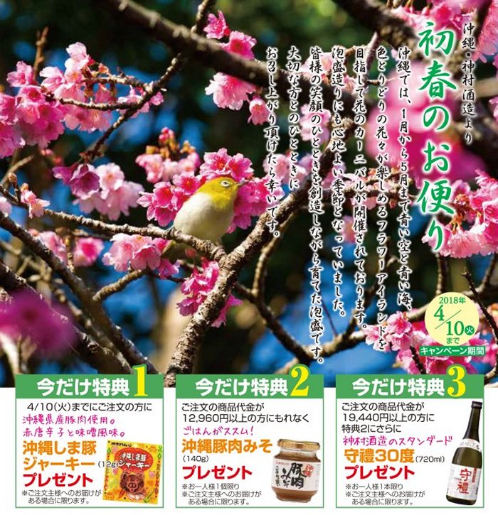 春のキャンペーン